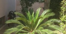 nassim  villa a vendre 345m 5ch