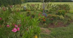 benslimane  villa ferme a vendre a sup 11100 M 4 CH