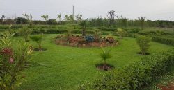 benslimane  villa ferme a vendre a sup 11100 M 4 CH
