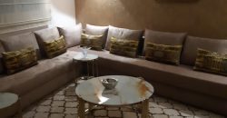 LA FAMILLE FRANCAISE APPT A VENDRE QUARTIER  SUP 115 M