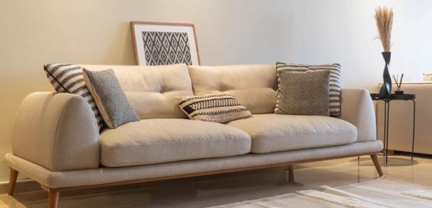 appt a louer meuble Sup 149m² 1er étage 3ch salon