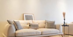 appt a louer meuble Sup 149m² 1er étage 3ch salon
