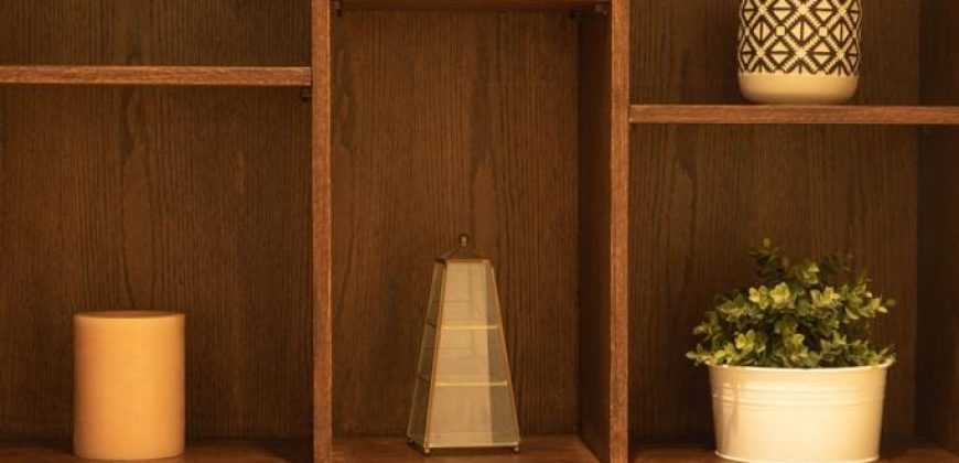 appt a louer meuble Sup 149m² 1er étage 3ch salon