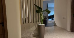 appartement a louer meublé a racine extension   de 163 m très haut standing sup 163m²