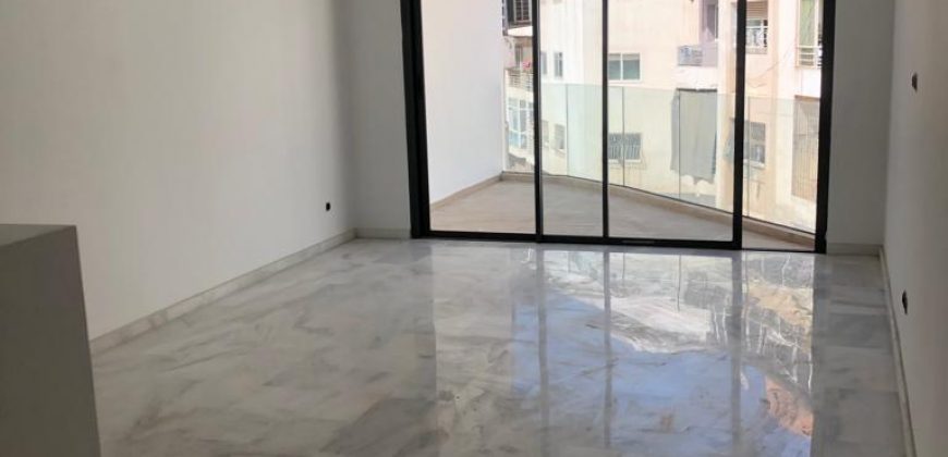 BEAUSEJOUR – APPT A VENDRE ET A LOUER PROJET NEUF 1 CH ET 2 CH