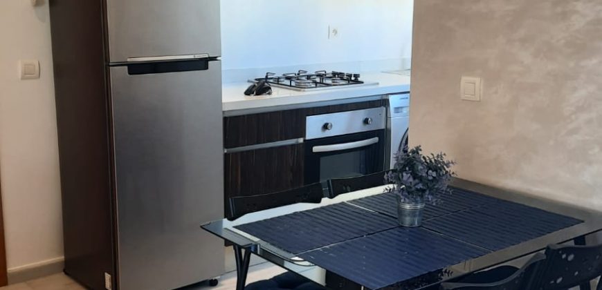 STUDIO- LOFT — A LOUER MEUBLE A COTE IBNOU TOUFAIL 1 CH 5300 DHS
