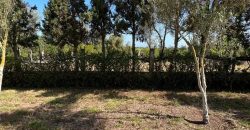 villa à louer à tnaine chtouka de presque un ha (eau puit +Radeej+ courant one)