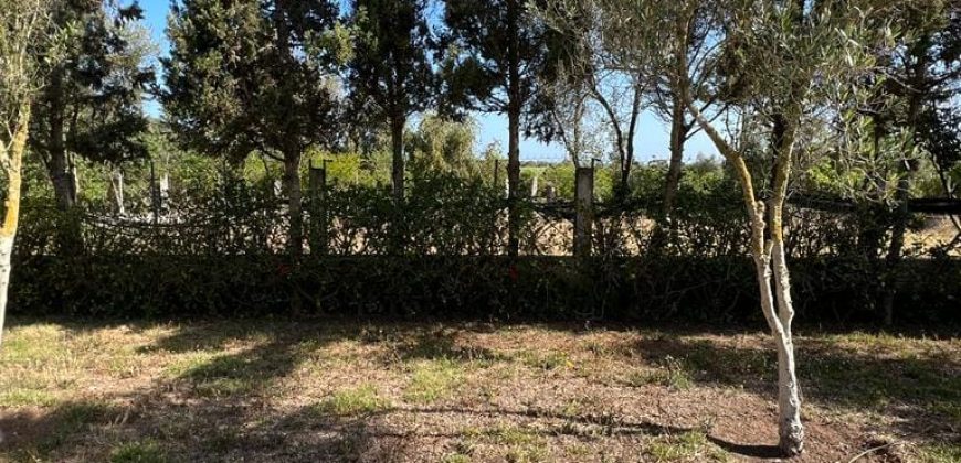 villa à louer à tnaine chtouka de presque un ha (eau puit +Radeej+ courant one)