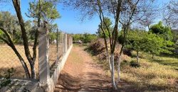 villa à louer à tnaine chtouka de presque un ha (eau puit +Radeej+ courant one)
