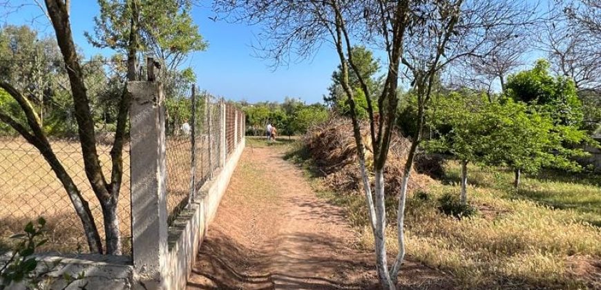 villa à louer à tnaine chtouka de presque un ha (eau puit +Radeej+ courant one)