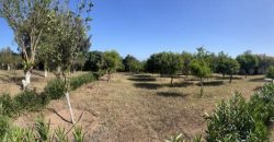 villa à louer à tnaine chtouka de presque un ha (eau puit +Radeej+ courant one)