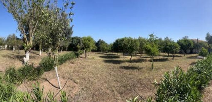 villa à louer à tnaine chtouka de presque un ha (eau puit +Radeej+ courant one)