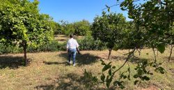 villa à louer à tnaine chtouka de presque un ha (eau puit +Radeej+ courant one)