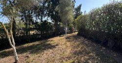 villa à louer à tnaine chtouka de presque un ha (eau puit +Radeej+ courant one)