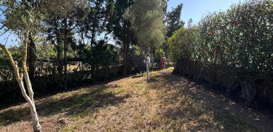 villa à louer à tnaine chtouka de presque un ha (eau puit +Radeej+ courant one)