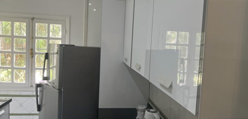 YACOUB EL MANSOUR -APPARTEMENT A LOUER MEUBLE