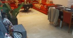 les princesses -Appartement a louer meublé les princesses 2 salons 2 chambres