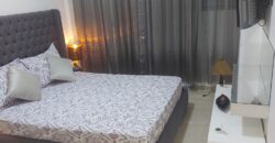 les princesses -Appartement a louer meublé les princesses 2 salons 2 chambres