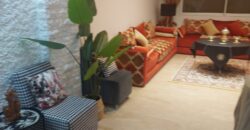 les princesses -Appartement a louer meublé les princesses 2 salons 2 chambres