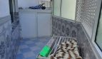 الصورة